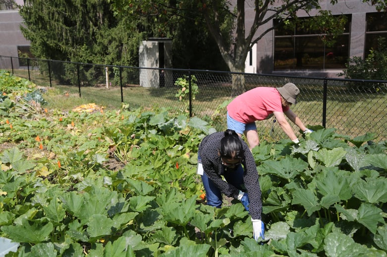 giving garden give back central iowa