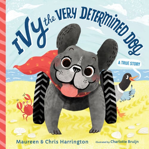 Ivy the Very Determinded Dog Book Cover