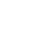 Project Iowa Logo - White