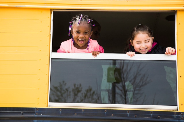 Stuff the Bus 1-1