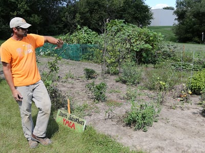 community garden 2.jpg