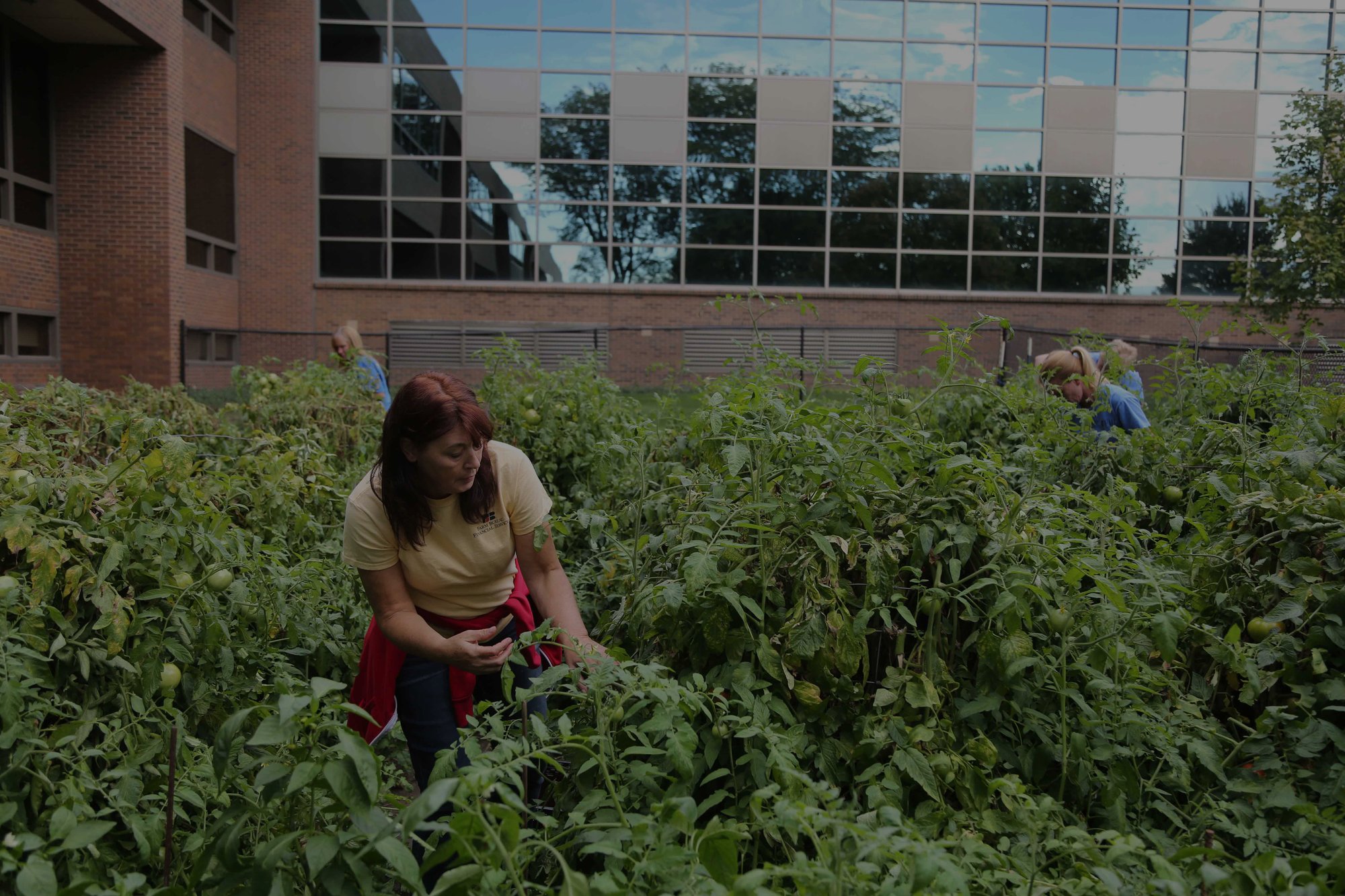 giving garden