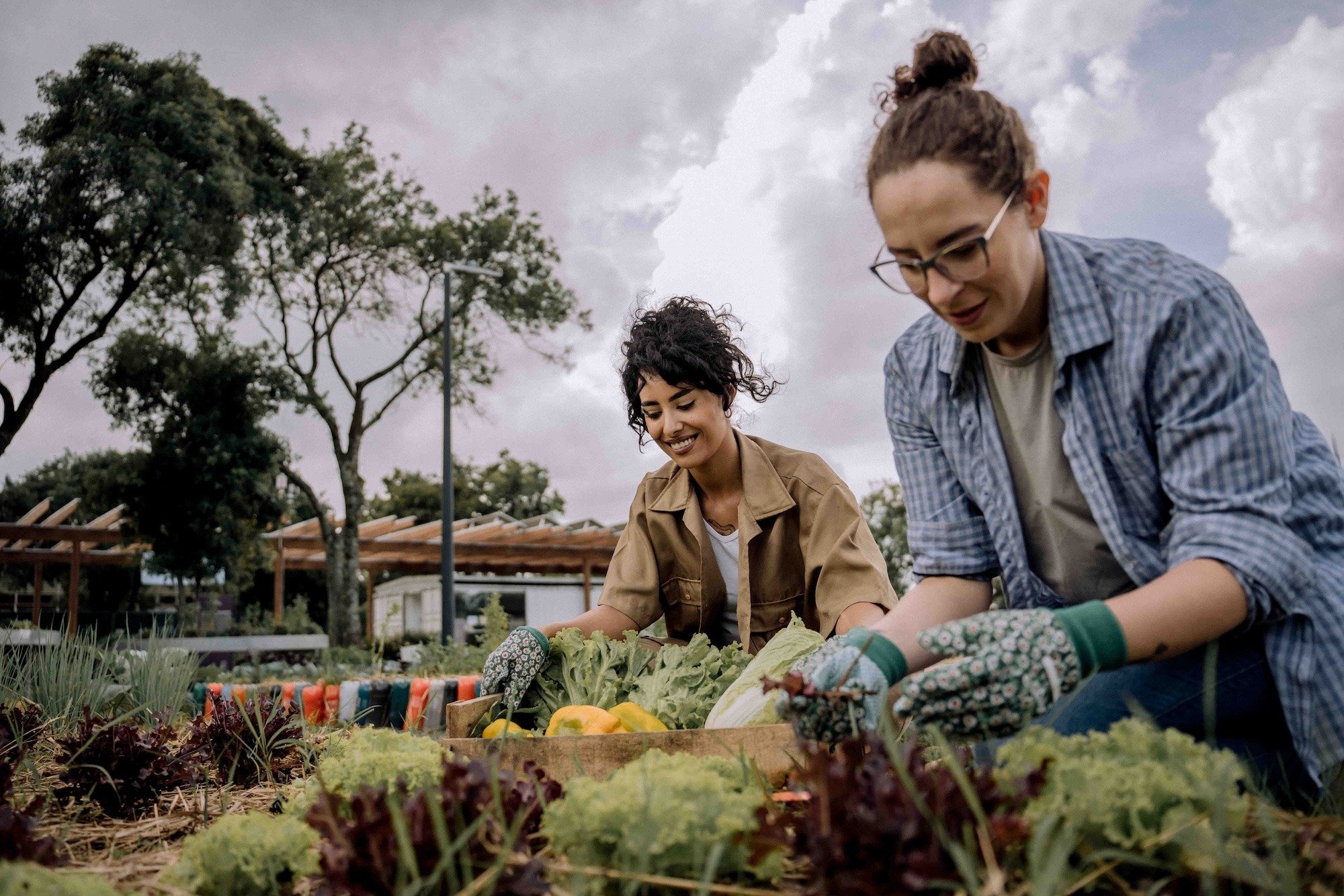 Gardeners tending to a garden