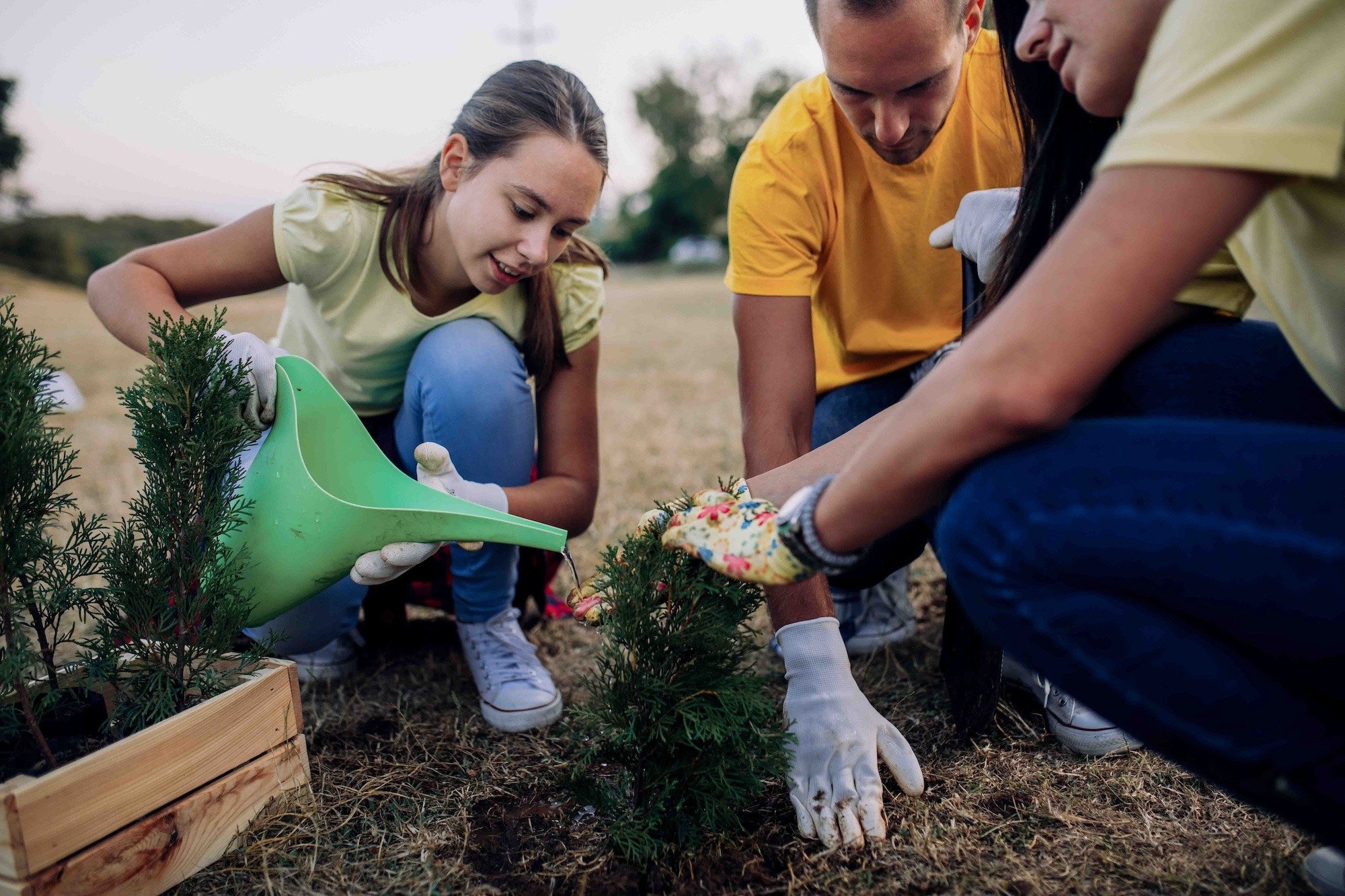 volunteers gardening