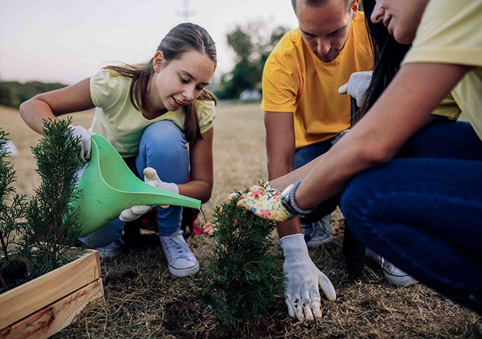 planting