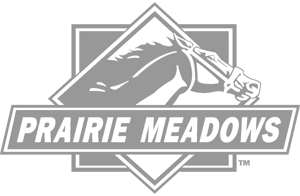 prairie meadows grey