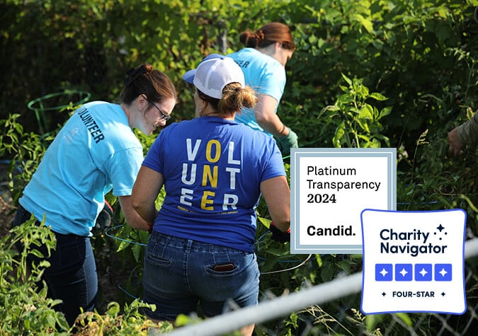 volunteers and charity seals